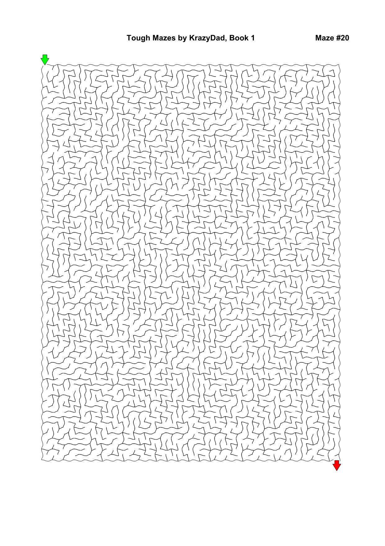 图片[3]-Tough Mazes (Ages 9-12+)，1000页PDF-淘学学资料库